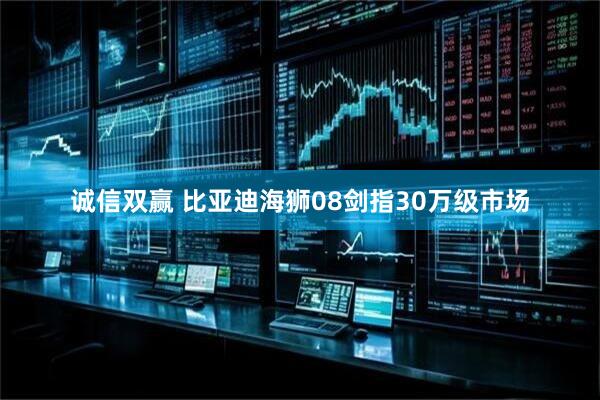 诚信双赢 比亚迪海狮08剑指30万级市场