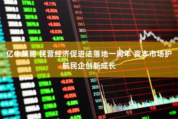 亿牛策略 民营经济促进法落地一周年 资本市场护航民企创新成长